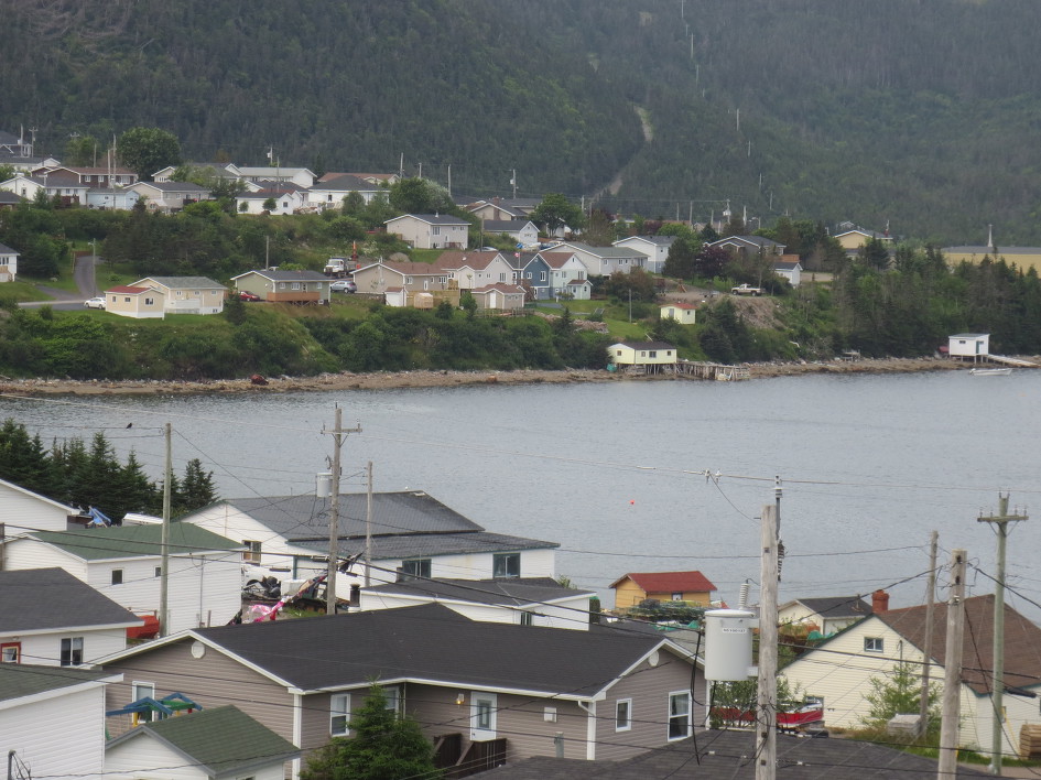 트럼프의 특별한 방법