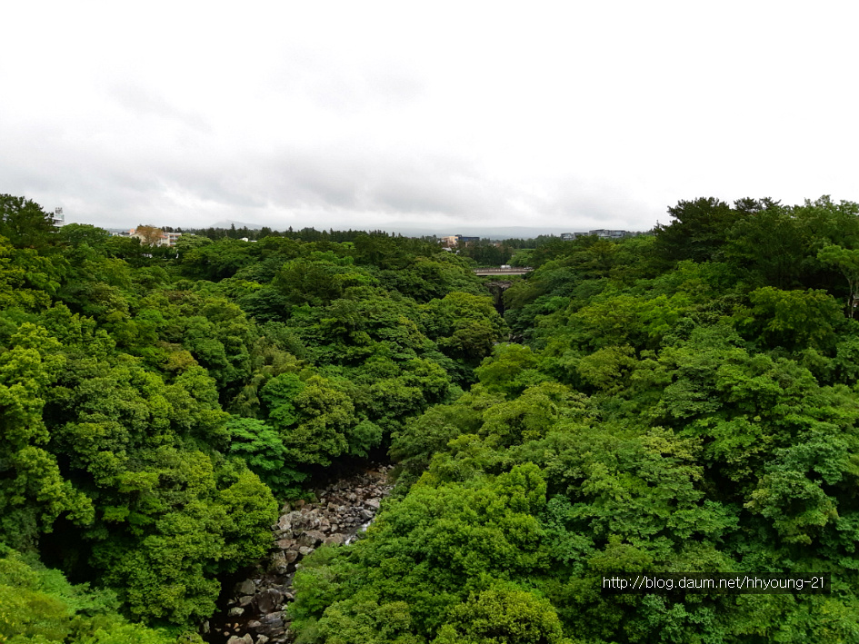 제주올레 길에서 - 여미지 식물원, 천재연 폭포 관람...