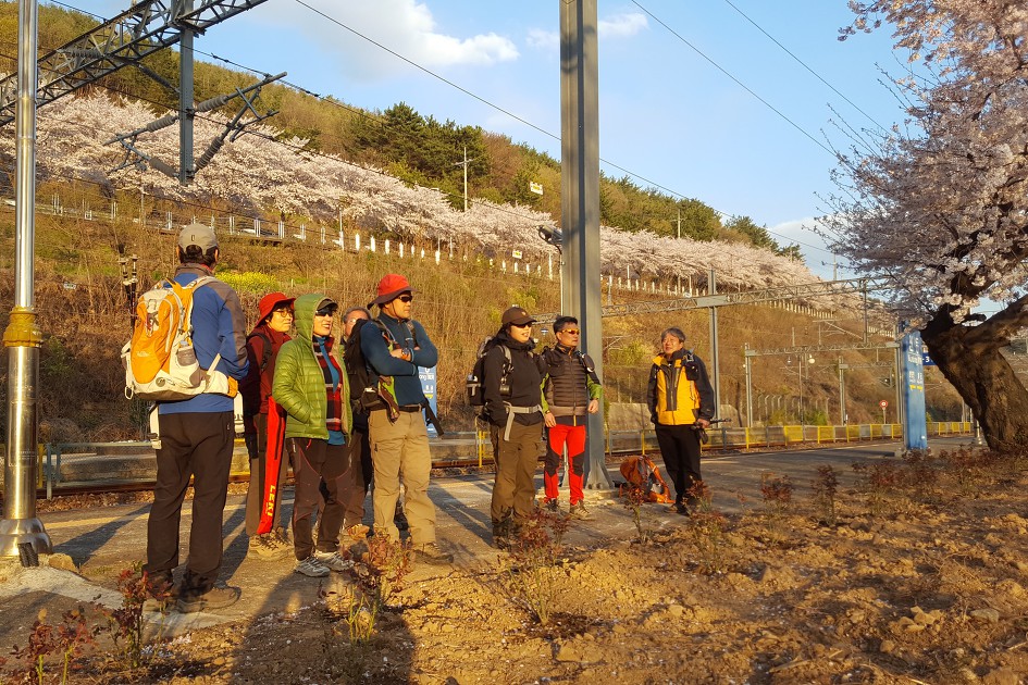 기차 타고 등산