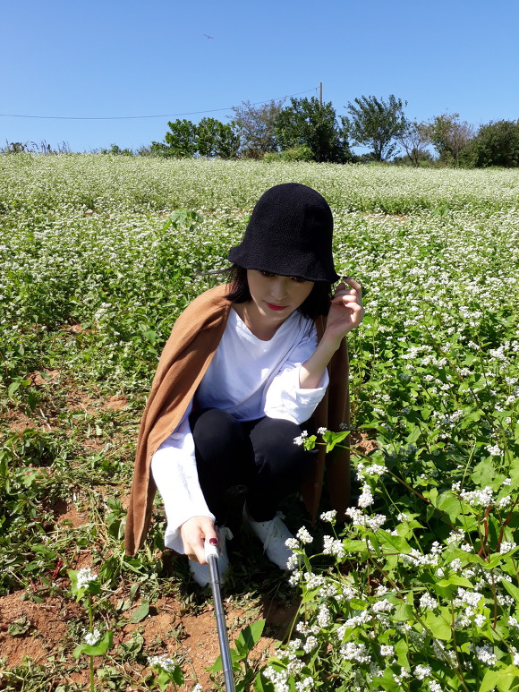 2017. 9. 17  고창 선운사 여행 - 딸아이랑  집사람다녀오다 (사진일기)