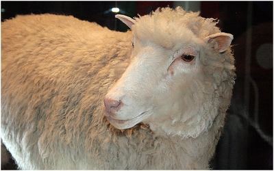 [영화] SF영화 "블레이드 러너" "블레이드 러너 2049"