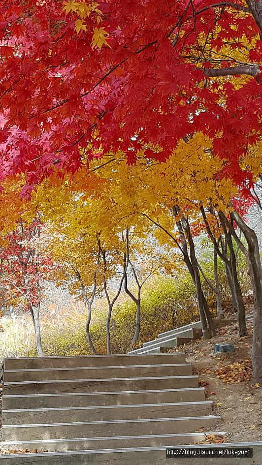 시청뒤에서 이미지