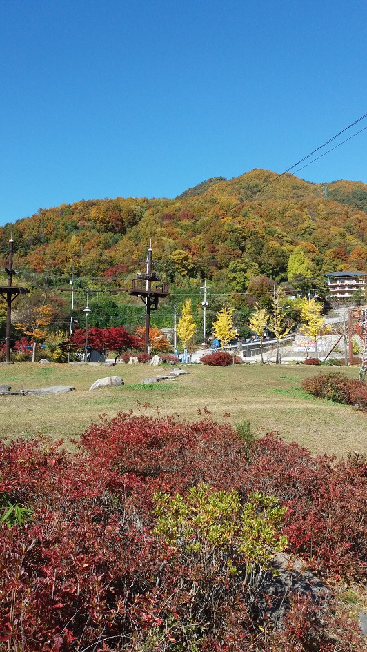 가을 풍경