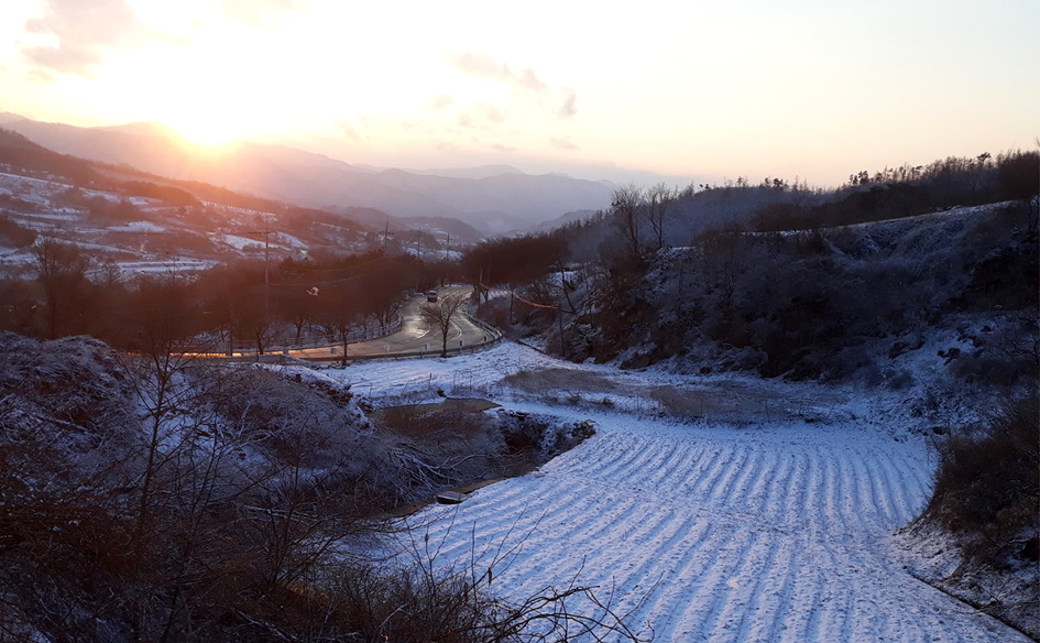 [지인께서 보내주신 눈사진] 지인께서, 오늘 오후 강풍을 동반한 눈보라가 있었다며 사진을 보내주셨네요 / 상고대님