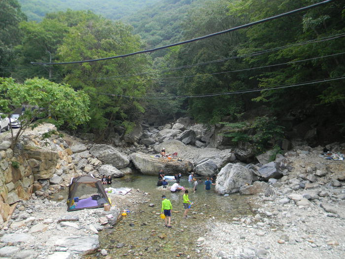 양산 내원사계곡과 산령각, 700여년 묵은 소나무