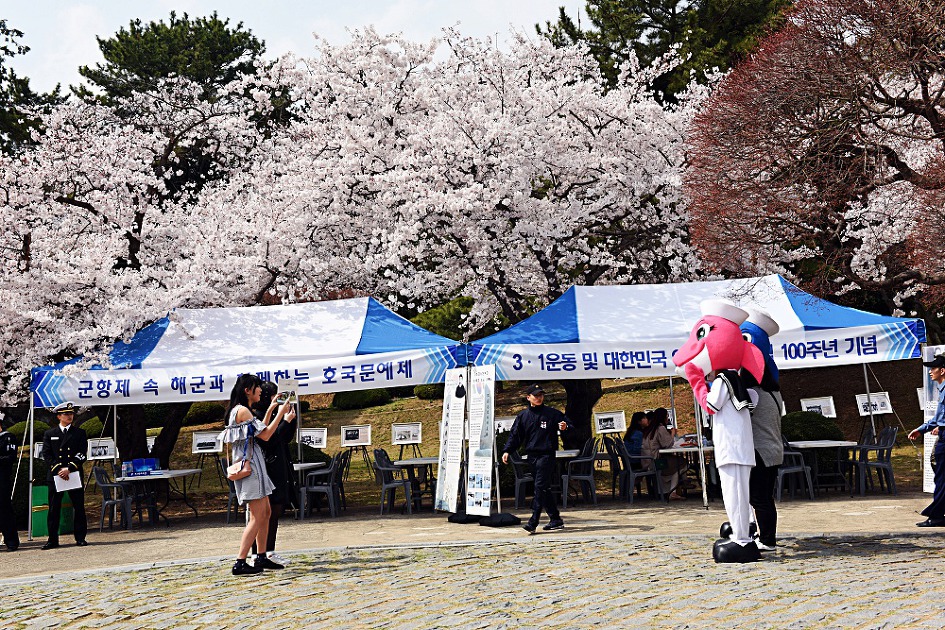 진해벚꽃축제 2019 진해군항제 제황산공원 진해탑전망대 북원로터리 충무공이순신동상 진해기지사령부