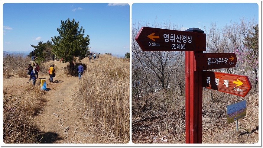 여수 진달래꽃 산행 명산 - 영취산 등산코스