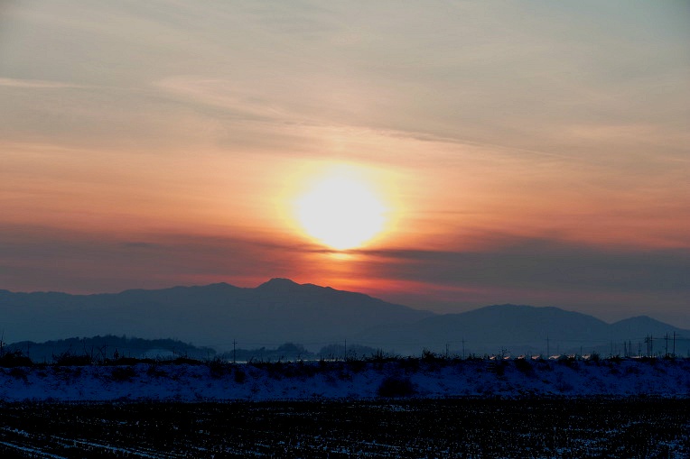 9964E9335DF4F4DC1F394B