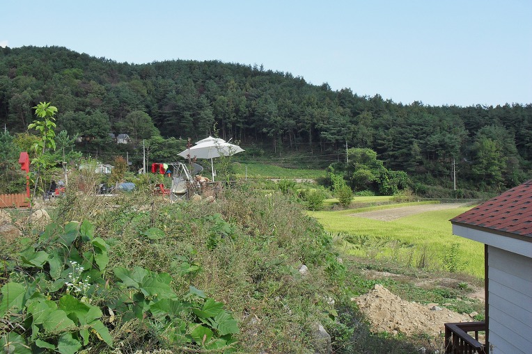 청정바람 이미지