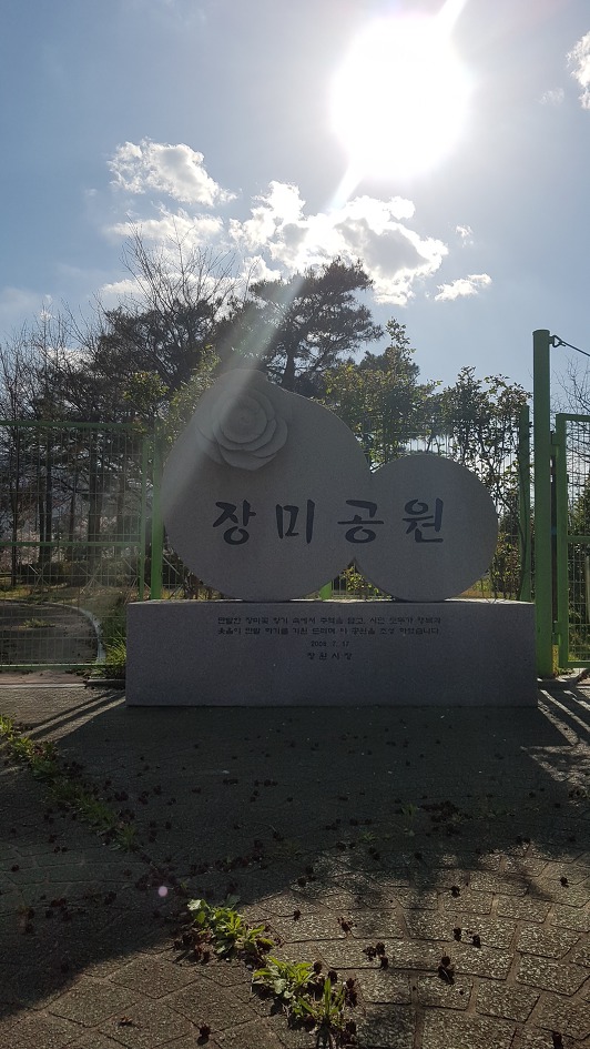 벗꽃이 드디어 창원에 피고 있네요!