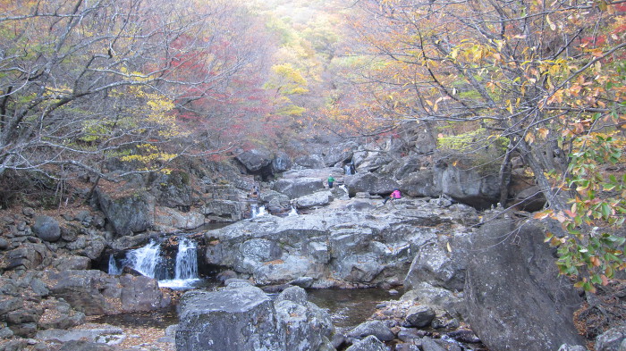 지리산 피아골 단풍 산행기
