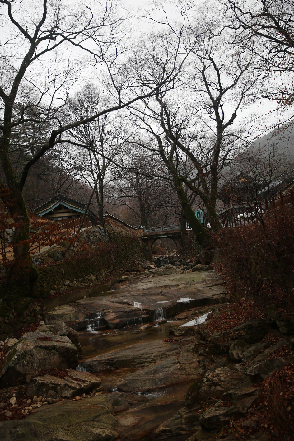 심우 이미지