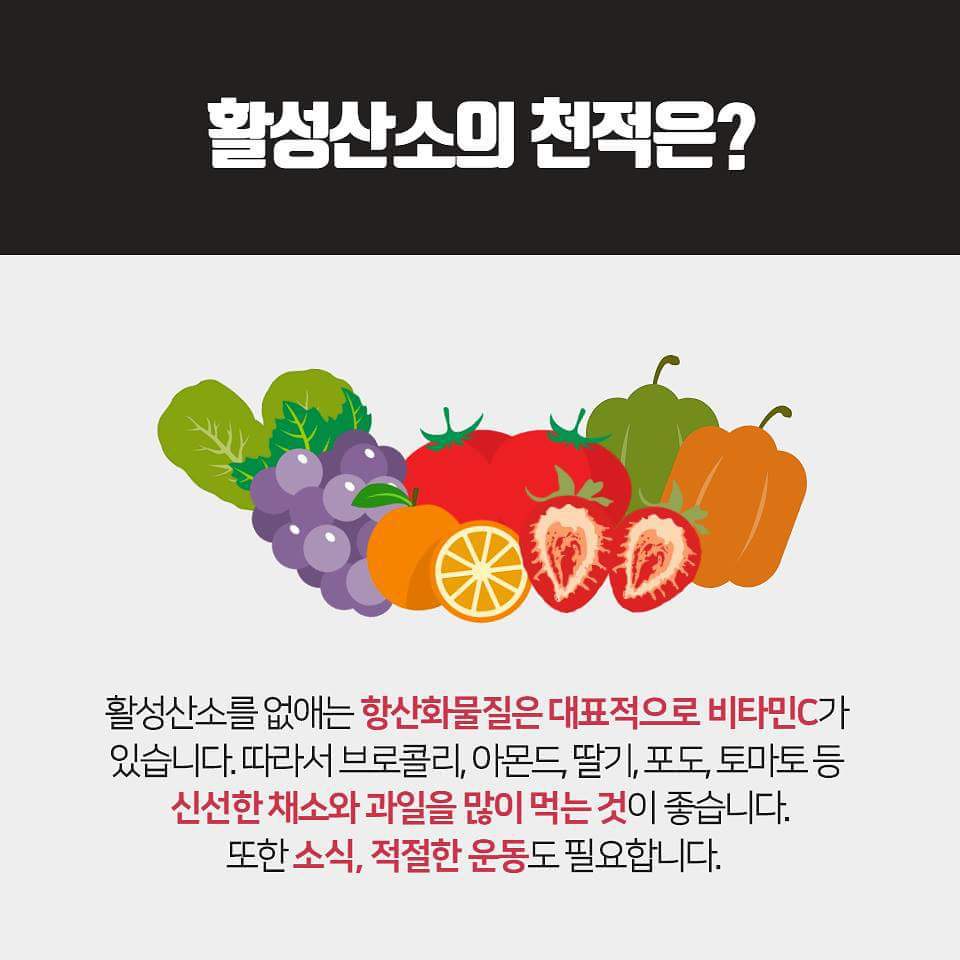 활성산소 너 누구니?