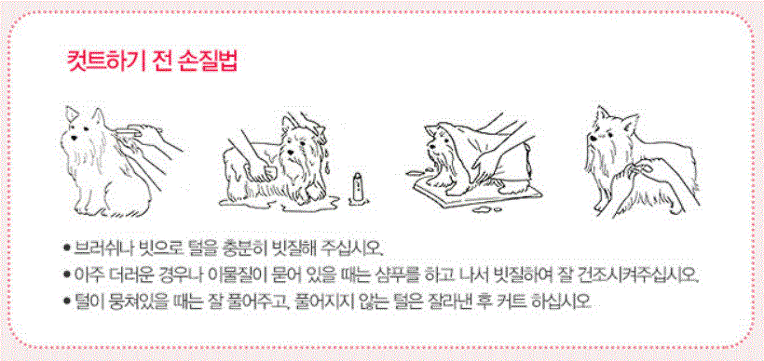 조아스 전문가용 애견이발기 JP-6700