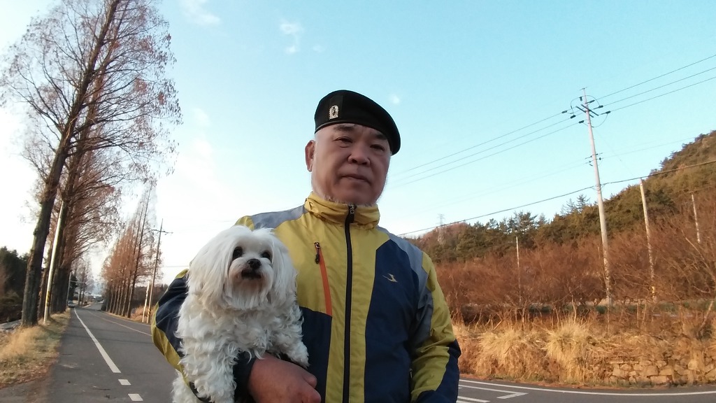 내사진
