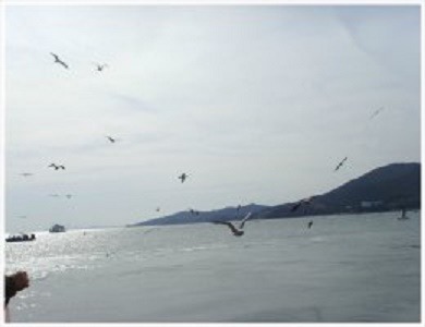 일사천리(一瀉千里)