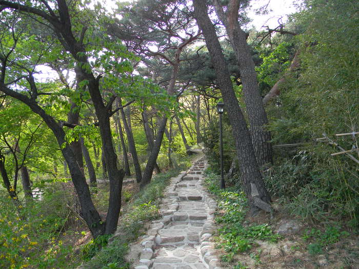 부암동 석파정 마무리 (별채, 북쪽 산책로, 소나무, 석파정, 경계벽 벽화)