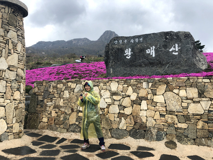 원본이미지(클릭)