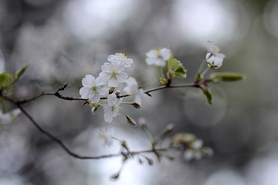 창녕 영취산