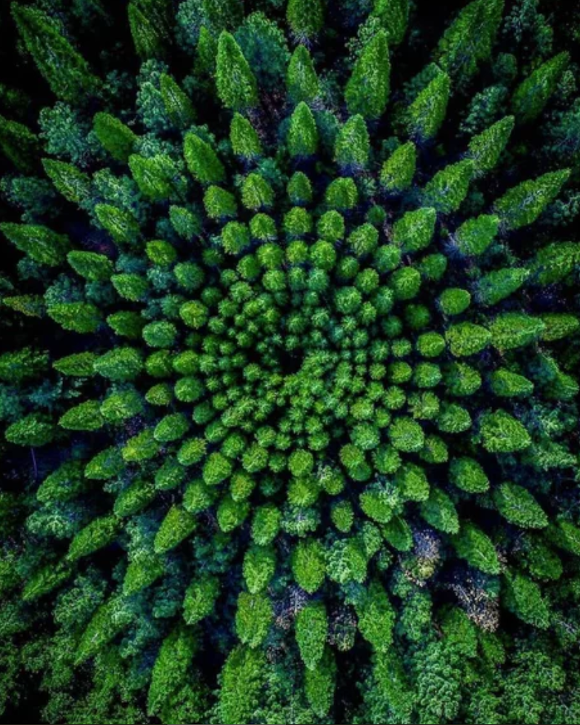 아따 5월이 와 부렀소