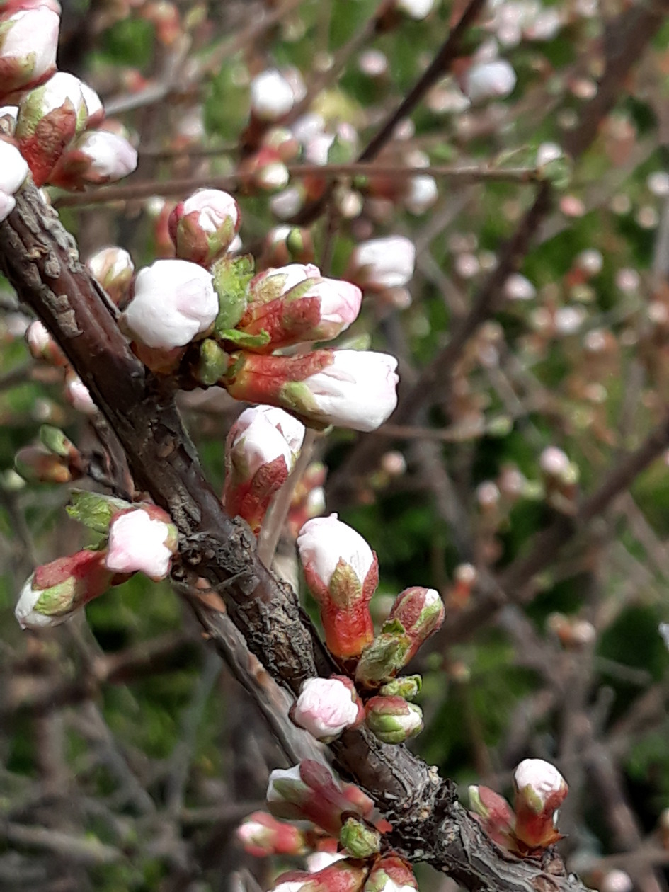 명동성당에 봄나비가 떴어요...