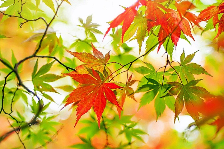 99C1B13F5DC9456C246B67