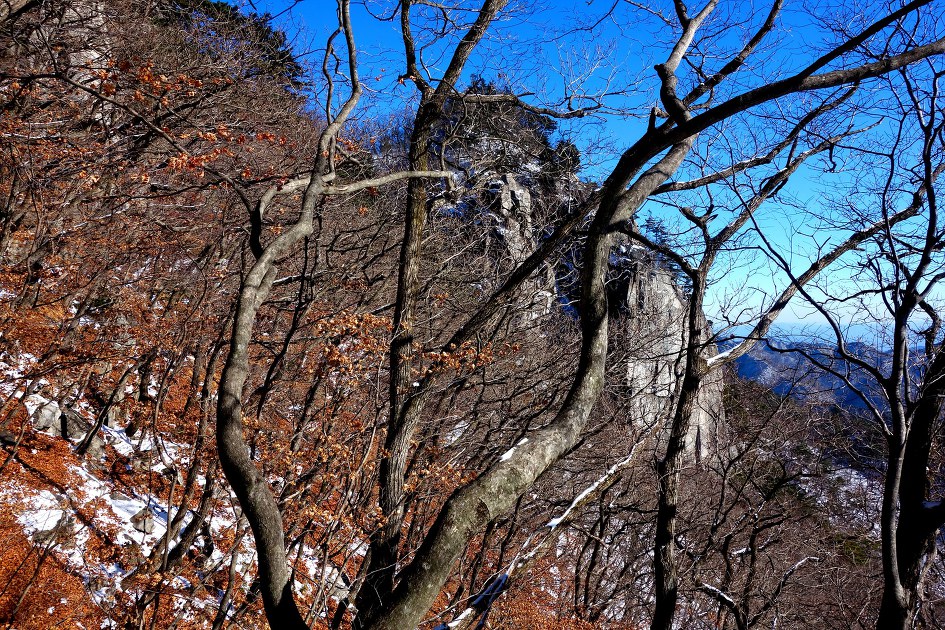 팔공산 겨울조망 산행