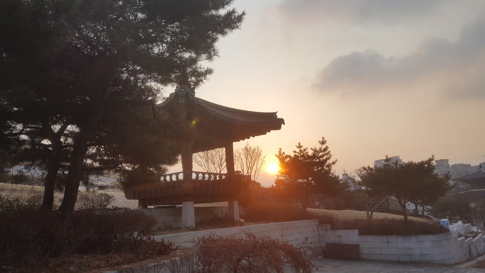 토요일 아침의 산책<2019.2.10>