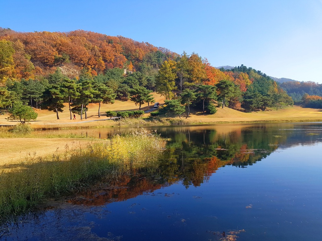 골프장 구경은 즐거워~~♡문막 센츄리21CC