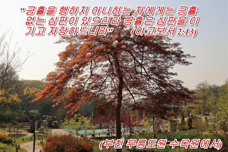'야고보서 2장 13절 말씀' 
