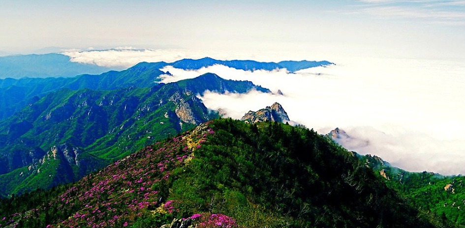 슬픈 중년의 사랑