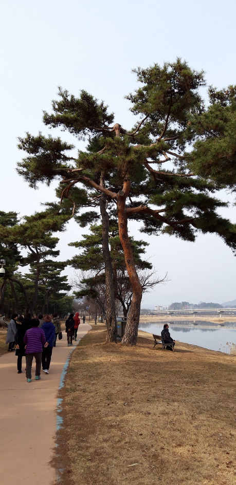 영신숲