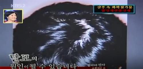 설페이드계 인공적 계면활성제 없는 바오밥 샴푸