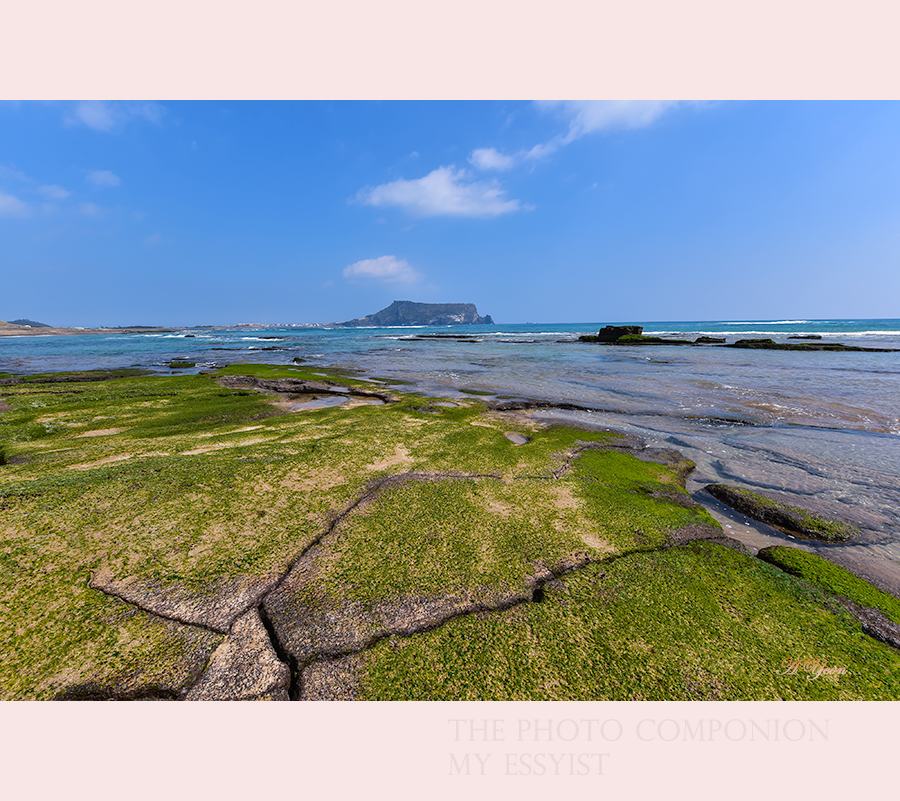 봄 바다에 서서