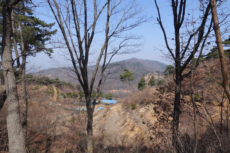 금이성 이미지
